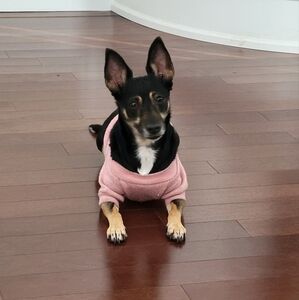 Meet your Posher, Lisa